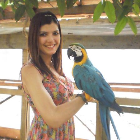 Amazon Rainforest Lodge Padre Cocha Exterior foto